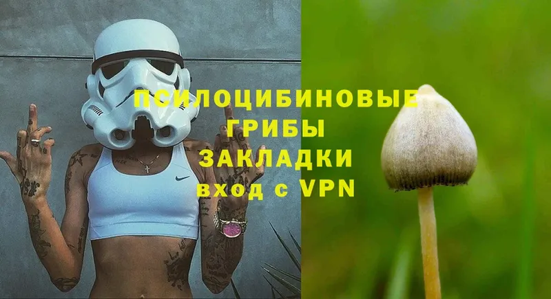 Псилоцибиновые грибы Psilocybine cubensis  Алатырь 